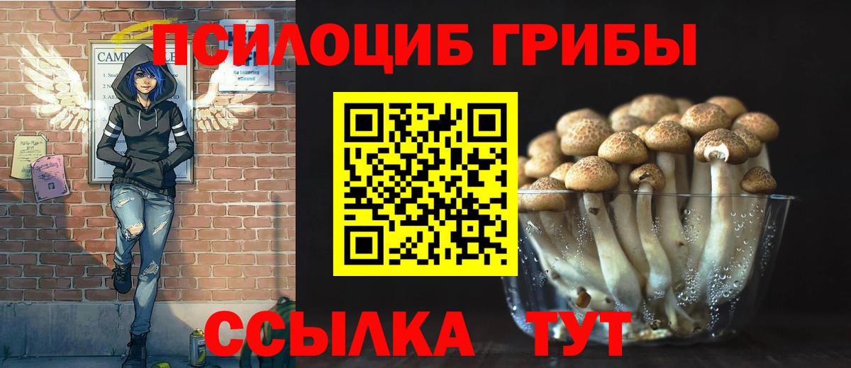 Галлюциногенные грибы мицелий Шелехов