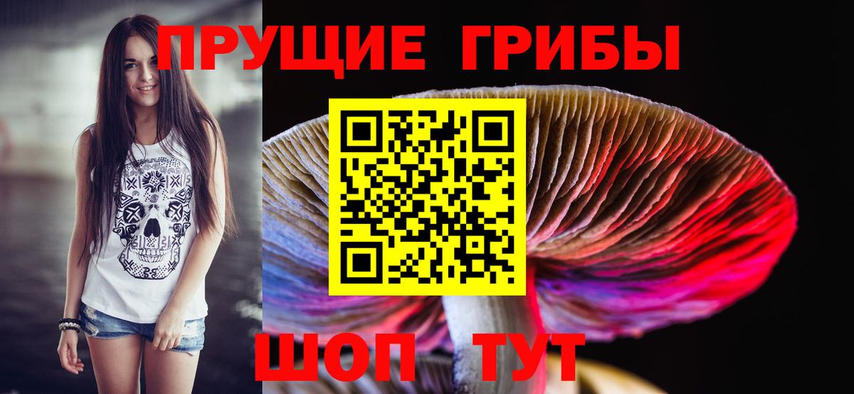 Псилоцибиновые грибы прущие грибы  Вход с VPN  Шелехов 